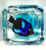Куб Рыба синяя