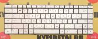 Клавиатура для ноутбука Asus N45 N45S, N45SF, N45SL, N45V, N45VM серебряная, c русскими буквами P/n: