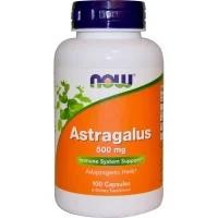 NOW Astragalus 500 mg 100 капсул