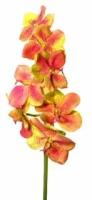 Орхидея Ванда зелено-розовая 86 см 6 шт. в упак.