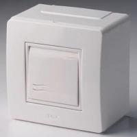 Коробка в сборе с выключателем, белая DKC 10002, 1 шт