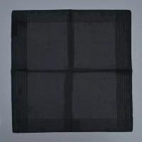 Шифоновый платок с каймой черный 845906