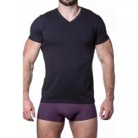 Черная мужская футболка с треугольным вырезом Sergio Dallini t751-2, размер 48, цвет Черный