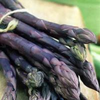 Спаржа Asparagus Pacific Purple (1 упаковка (семена))