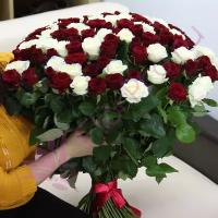 101 роза Ред Наоми и Аваланч 70 см