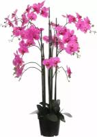 Искусственные цветы Mica Decorations Фаленопсис, в кашпо, 05094, розовый, 117 х 35 см