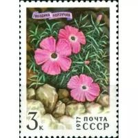 1977 Цветы Гор Сибири, Гвоздика ползучая