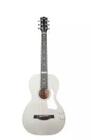 047956 Rialto JR Satina Gray HG Q-Discrete Электро-акустическая гитара, с чехлом, Godin