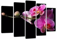 Модульная картина Орхидея Фаленопсис (Материал: Натуральный холст, Размер: 120х80 см.)