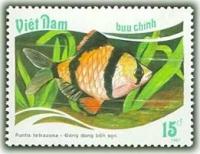 (1988-013a) Марка Вьетнам "Суматранский барбус" Без перфорации Тропические рыбы III Θ