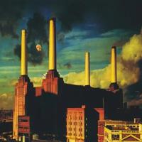 Виниловая пластинка Pink Floyd, Animals (Remastered) (0190295996963)