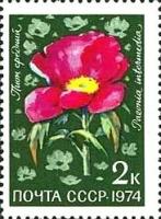 (1974-101) Марка СССР "Пион средний" Цветы альпийских лугов Средней Азии III O