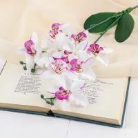 Цветы искусственные "Орхидея Фаленопсис мультифлора" бело-сиреневая