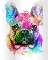 Раскраска по номерам Paintboy (Premium) «Радужный пес»