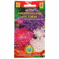 Семена цветов Астра Американская кустовая смесь, О, 0,3 г (Плазмас)