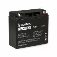 Tantos TS 1217 аккумуляторная батарея 12В 17Ач