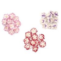 Набор цветки вишни из бумаги, розово-белый, красно-белый, фиолетово-белый, 30 шт, Астра