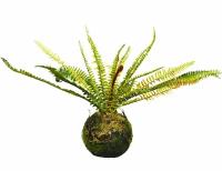 Искусственное растение подвесное "Папоротник - вудсия", пластик, 35х28 см, Kaemingk