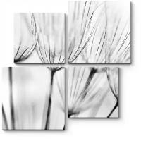 Модульная картина Picsis Легче ветра (50x50)