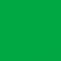 Fotokvant BN-1650 Green нетканый фон 1,6х5,0 м зеленый