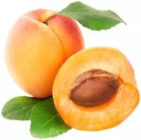 Пюре из абрикоса La Fruitiere, заморож., 1 кг