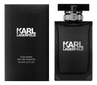 Karl Lagerfeld Pour Homme туалетная вода 100 мл