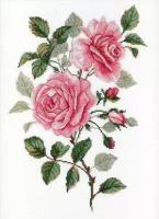 Садовые розы Набор для вышивания МП Студия НВ-541