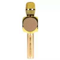 Беспроводной караоке микрофон Anriya YS-63, золотой