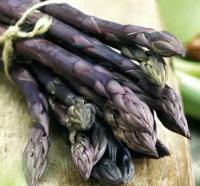 Спаржа Asparagus Stewart Purple (1 упаковка (семена))