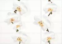 Церсанит Моно светло-бежевый цветы 25x35 / MY2M301D Mono светло-бежевый цветы 25x35 Cersanit Декор белый матовая