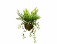 Искусственный папоротник "Лесной орляк" в кокедаме, подвесной, пластик, натуральный мох, 48 см, Kaemingk