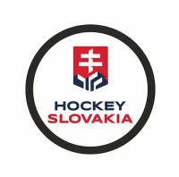 Шайба VEGUM Федерация Хоккея Словакии