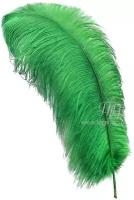 Перо страуса премиум зеленое 65-75 см