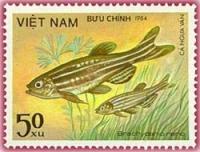 (1984-064) Марка Вьетнам "Данио-рерио" Рыбы III Θ