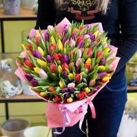Букет из разноцветных тюльпанов (101 тюльпан)