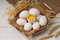 Яйцо куриное пищевое Белое 10шт (Гавринское Подворье)