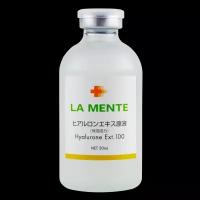La Mente Экстракт гиалуроновой кислоты Hyaluron extract 100
