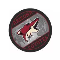 Шайба RUBENA Arizona Coyotes NHL
