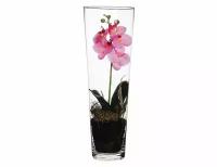 Edelman, Mica, Искусственная орхидея фаленопсис в высокой вазе, розовый, 50 см 950249