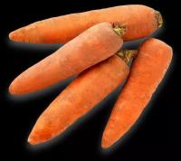 Морковь Эконом вес до 500 г