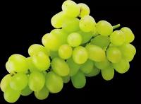 Виноград зеленый вес до 500 г