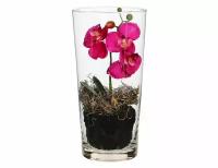 Edelman, Mica, Искусственная орхидея фаленопсис в конической вазе, тёмно-розовый, 30 см 1044684