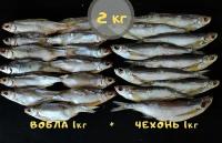 Рыбный набор №12 (Вобла осенняя жирная 1кг + Чехонь вяленая 1 кг) 2кг