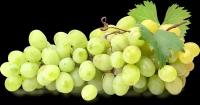 Виноград Киш-миш зеленый вес до 500 г