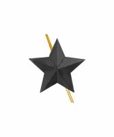Звезда на погоны фсин черная 18 мм