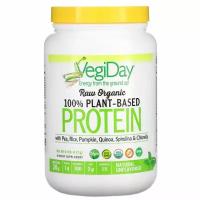Natural Factors, Raw Organic 100% Plant-Based Protein, Natural Unflavored, 0.9 lb (417 g)