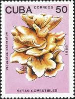 (1989-011) Марка Куба "Вешенки обыкновенные (2)" Съедобные грибы III Θ