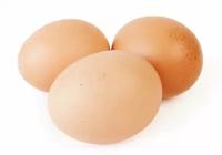 Яйца кур-молодок "Первое фермерское хозяйство", 10шт
