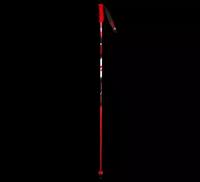 Горнолыжные палки Vola Alpine GS Team Carbon (Длина:120 см)