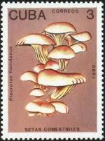 (1989-007) Марка Куба "Вешенки флоридские" Съедобные грибы III O